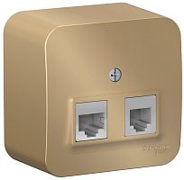 Розетка телефон+компьютер накладная Systeme Electric Blanca 2-м. RJ11+RJ45 5е титан картинка